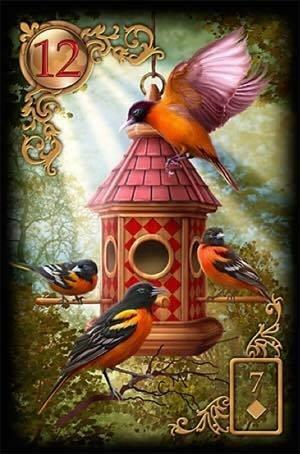 Uitleg Lenormandkaart: 12. De Vogels