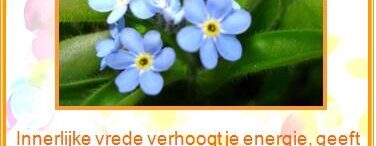 Orakelkaart innerlijke vrede