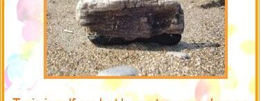 Puur Medium Orakelkaart 1. Loslaten