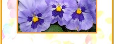 Uitleg Puur Medium Orakelkaart 5. Spirituele ontwikkeling