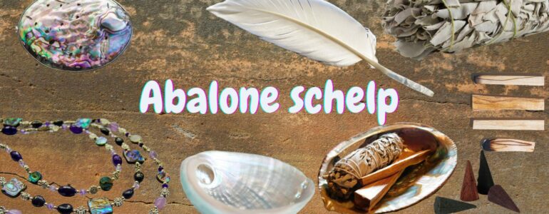 Abalone schelp