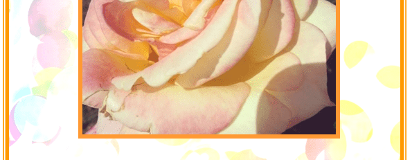 Uitleg Puur Medium Orakelkaart 2: Geluk