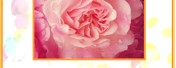 Uitleg Puur Medium Orakelkaart 3: Liefde