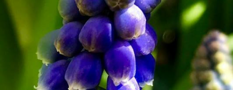 Soms willen we bepaalde dingen liever niet voelen