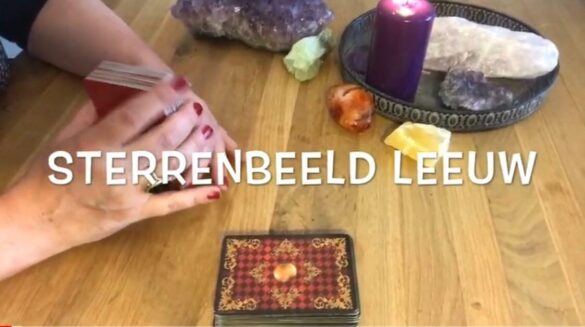 Leeuw Sterrenbeeld Medium tarot voorspelling