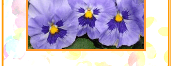 Orakelkaart Spirituele ontwikkeling