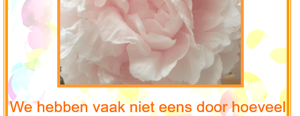 Uitleg Puur Medium Orakelkaart 4. Rijkdom