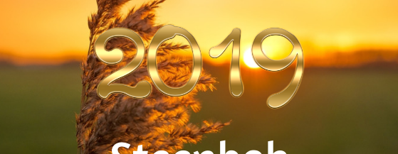 voorspelling steenbok tarot