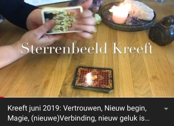 medium kreeft