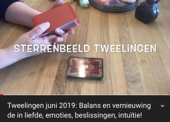 tweelingen tweeling sterrenbeeld