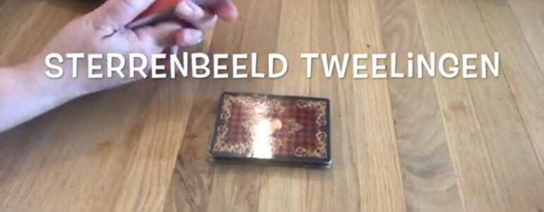 tweelingen tweeling sterrenbeeld